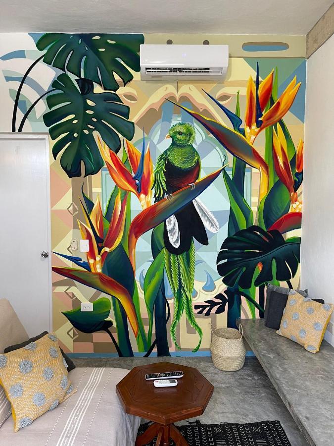 Katalox Jungle Lofts By Simply Comfort Tulum Centre Rooftop Patio & Pool Appartement Buitenkant foto